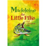 Madeleine the Little Pike and a rainbow ball - Kniha
