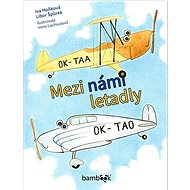 Mezi námi letadly - Kniha