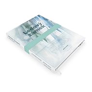 Ledový zámek - Kniha