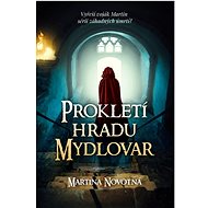 Prokletí hradu Mydlovar - Kniha