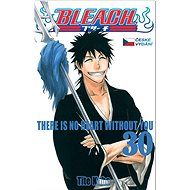 Bleach 30: There Is No Heart Withnout You