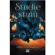 Studie stínů: Hledači duší 1 - Kniha