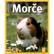 Morče - Kniha