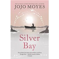 Silver Bay - Kniha