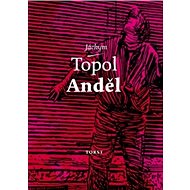 Anděl - Kniha