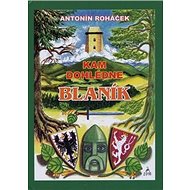 Kam dohlédne Blaník - Kniha
