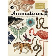 Animalium: Vítáme vás v muzeu - Kniha