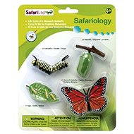 Safari Ltd. Životní cyklus - Motýl - Anatomický model