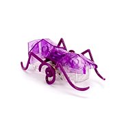 Hexbug Micro Ant fialový - Mikrorobot