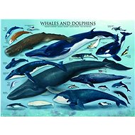 Puzzle Velryby a delfíni 1000 dílků - Puzzle