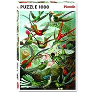 Haeckel - Hummingbird - Jigsaw
