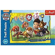 Puzzle Paw patrol Ryder and friends - Puzzle