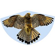 Günther - sokol - falke 92x62 cm - Létající drak