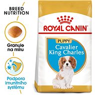 Royal Canin Cavalier King Charles Puppy 1,5 kg - Granule pro štěňata