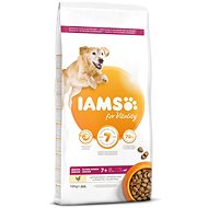 IAMS Dog Senior Large Chicken 12 kg - Granule pro psy