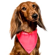 Chiweto Lady S, růžová neon - Šátek pro psy