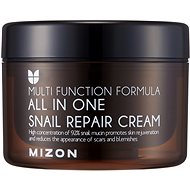 Pleťový krém MIZON All In One Snail Repair Cream 120 ml