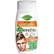 BIONE COSMETICS Bio Cannabis Šampon proti lupům pro muže 260 ml - Šampon pro muže