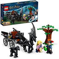 LEGO® Harry Potter™ 76400 Bradavice: Kočár a testrálové - LEGO stavebnice