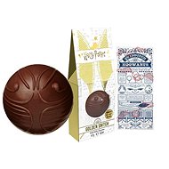 Harry Potter Chocolate Goldilocks with Fan Fiction Rules 47g