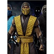 Mortal Kombat 11 Klassic Arcade Ninja Skin Pack 1 (PC)  Steam DIGITAL - Herní doplněk
