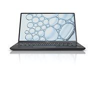 Fujitsu LIFEBOOK U9311 Black - Notebook