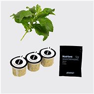 Plantui Stevia, 3 Capsules - Capsule