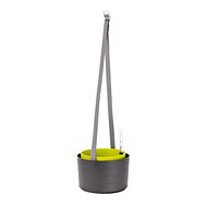 Samozavlažovací závěsná žardina Berberis 26 cm antracit + zelená - Květináč