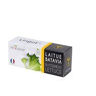Véritable Lingot Lettuce ORGANIC - Seedling Planter
