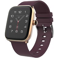 Chytré hodinky iGET FIT F20 Gold