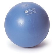 Sissel Cvičební balón Securemax  65cm - Gymnastický míč