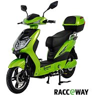 Racceway E-Fichtl, Light Green-Metallic - Electric Scooter