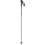 Salomon Arctic Black 120 cm - Lyžařské hůlky