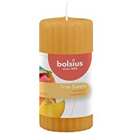 BOLSIUS True Scents Mango 120 × 58 mm