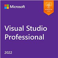 Kancelářský software Microsoft Visual Studio Professional 2022 (elektronická licence)