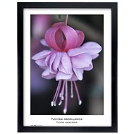 TRADAG Natura 30 x 40 černý - Fotorámeček