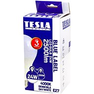 TESLA LED BULB E27, 24W, Daylight White - LED Bulb