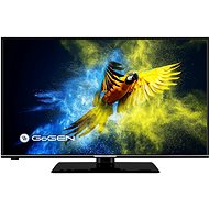 43" Gogen TVF 43M552 STWEB - Televize
