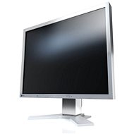 21" EIZO FlexScan S2133-GY - LCD monitor