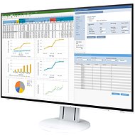 24" EIZO FlexScan EV2457-WT - LCD monitor