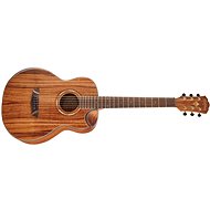 WASHBURN WCGM55K-D-U - Akustická kytara