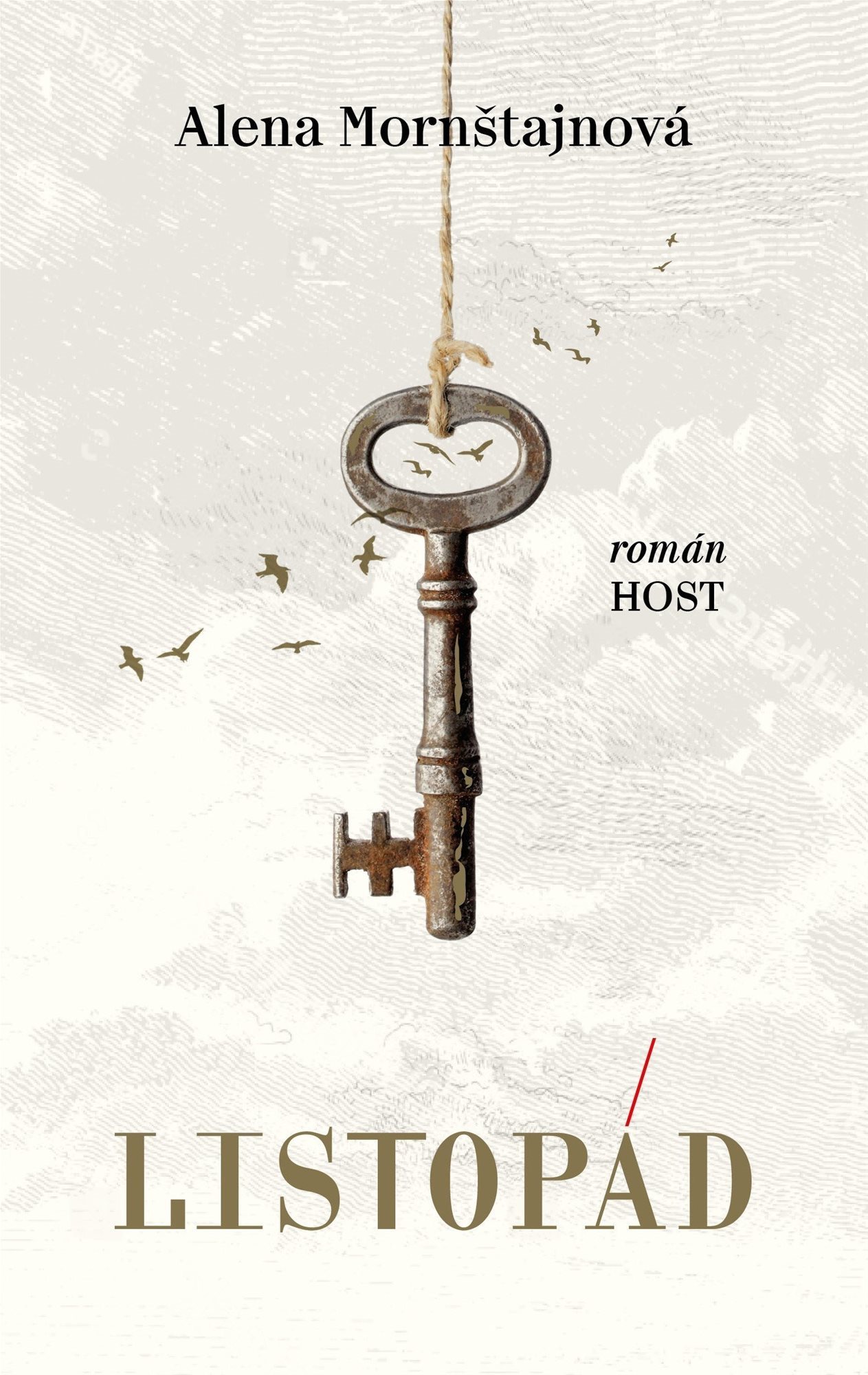 Karin Lednická; Šikmý kostel 2; recenze; kniha