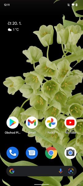 Google Pixel 6, homescreen