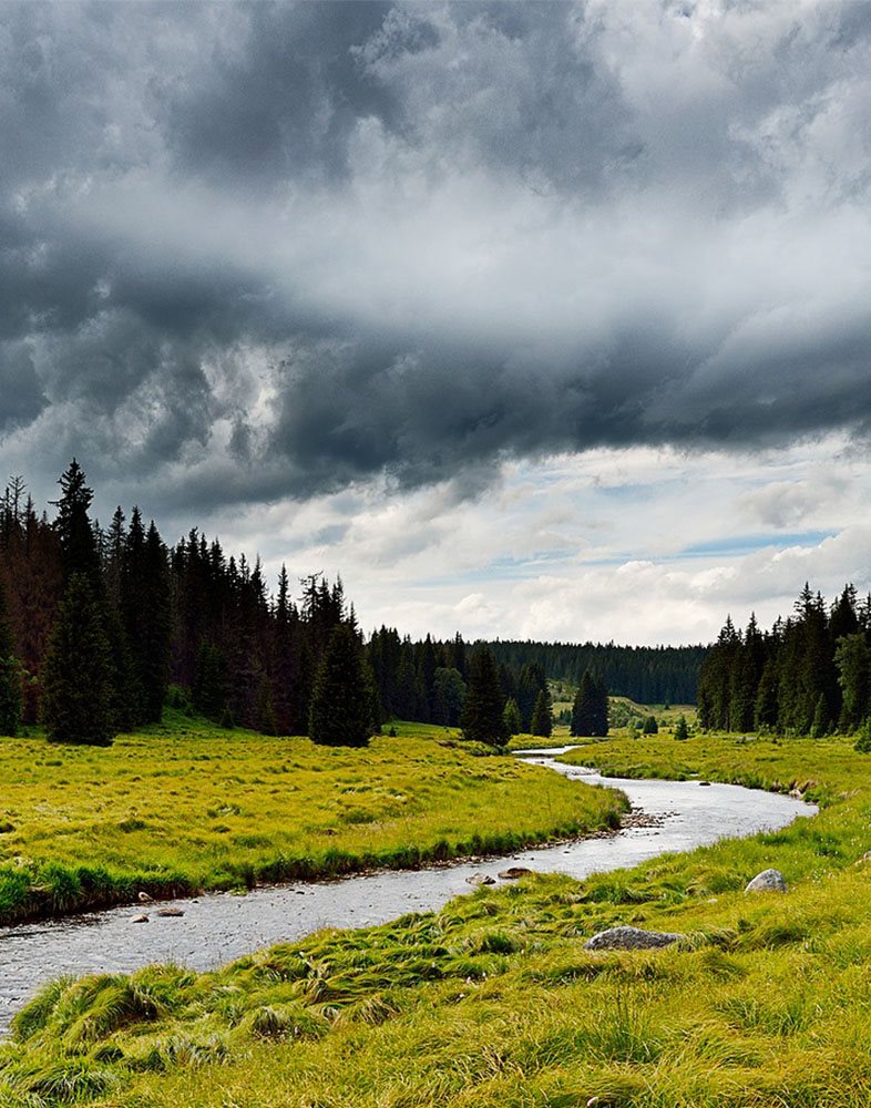 Šumava