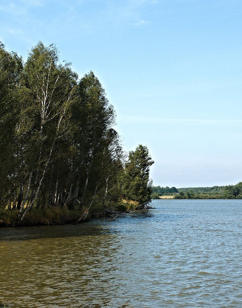 Třeboňsko