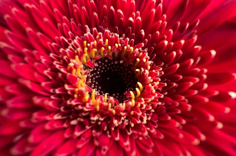 iPhone 13, fotoaparát