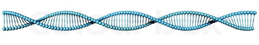 DNA; spirála; kvantový počítač