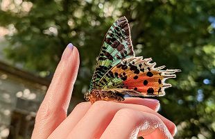 Google Pixel 9a - Špičkový duální fotoaparát pro dokonalé snímky