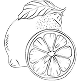 Hlava