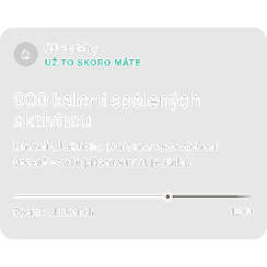 Aktivity a kondice